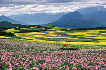 62e24a3b0a19f.png image.png